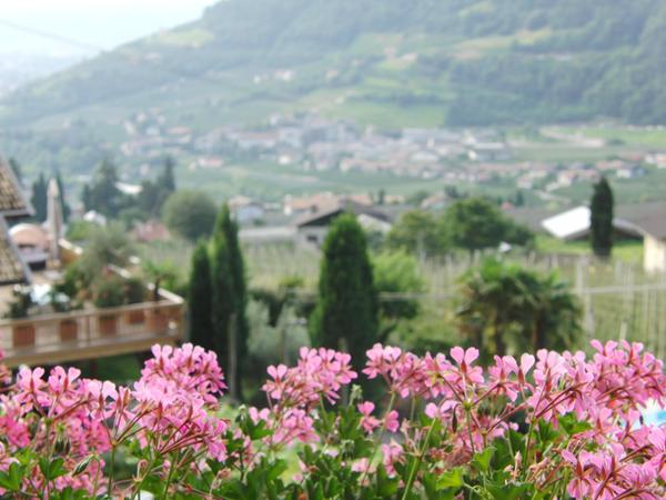 Foto del giardino Lagundo