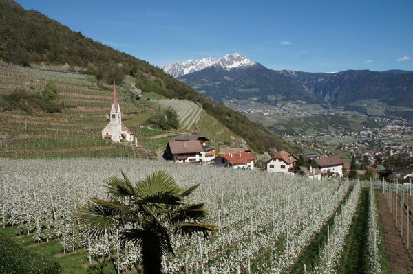 Aussicht Algund