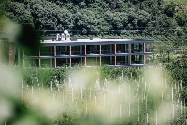 Photo exteriors B&B (Garni)-Hotel Der Forsterhof