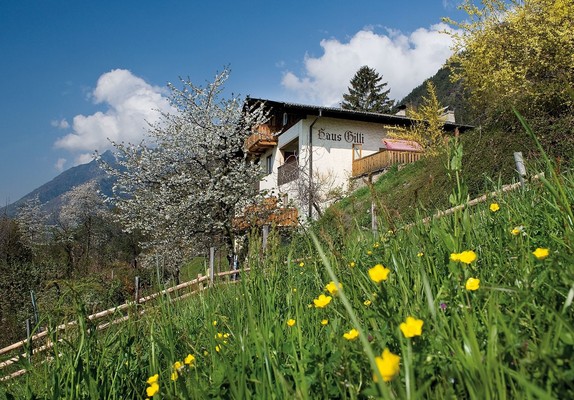 Foto esterno Garni + Appartamenti Haus Gilli