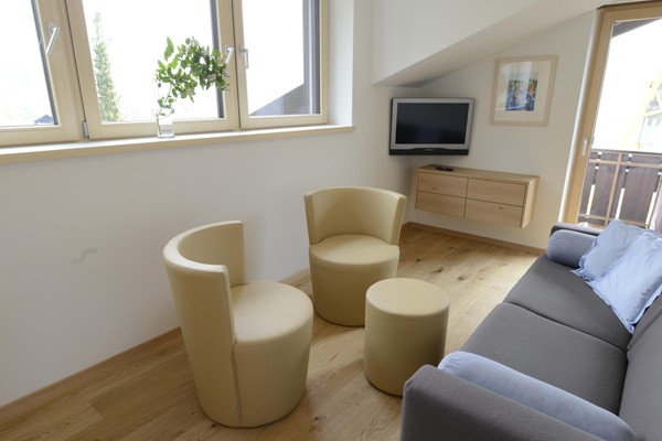 The living area Apartments Badleit