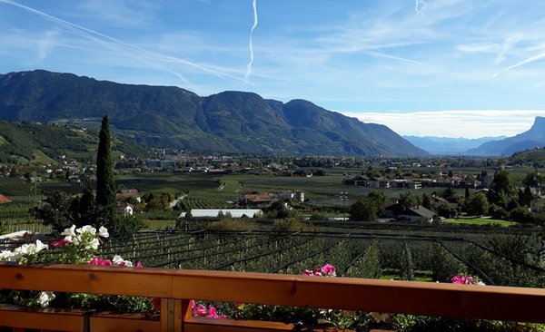 Vista dalla struttura