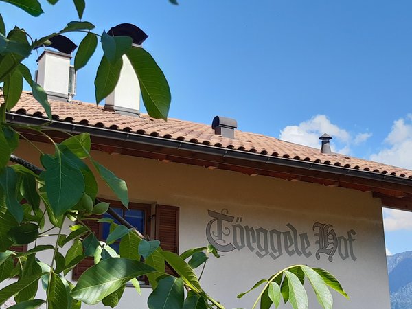 Foto esterno in estate Törggelehof