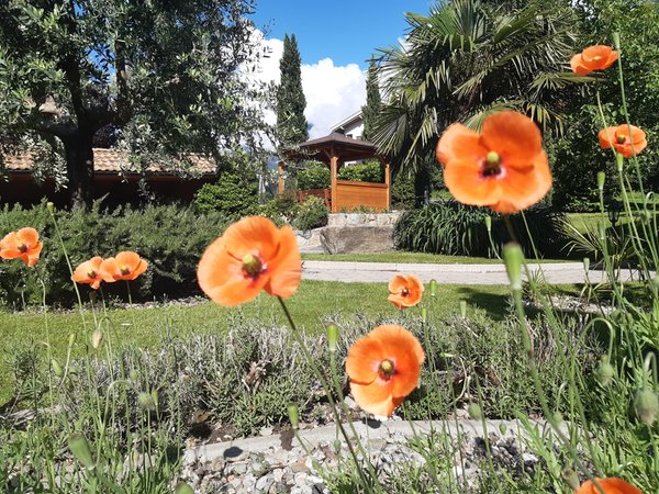Foto del giardino Lagundo