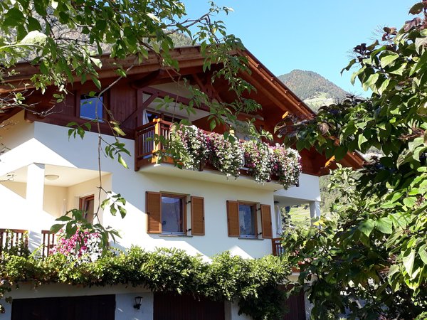 Foto esterno in estate Törggelehof