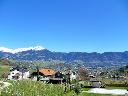 Bildergalerie