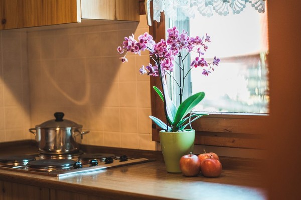 Photo of the kitchen Gamperhof