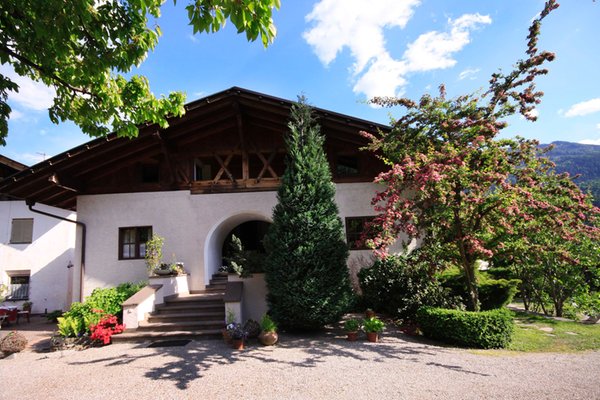 Summer presentation photo Apartments Gasserhof