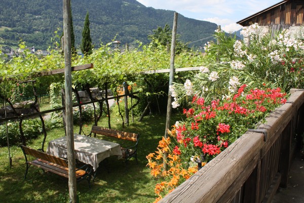 Photo of the garden Lagundo / Algund
