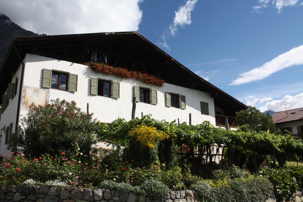 Foto esterno B&B + Appartamenti in agriturismo Traterhof