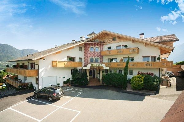 Foto Außenansicht Hotel Lisetta