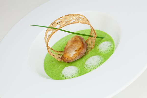 Rezepte und Gourmet-Gerichte Gartner