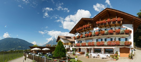 Foto Außenansicht Hotel Stefanie