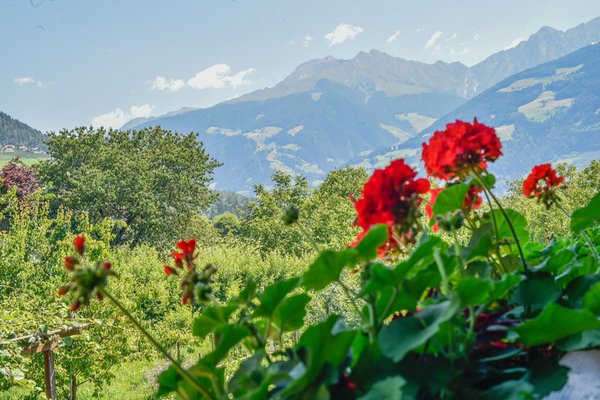 Panorama Tirolo