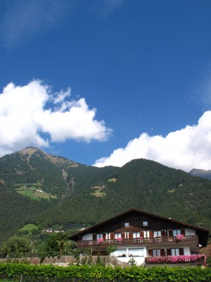 Foto esterno Residence Lenzenau