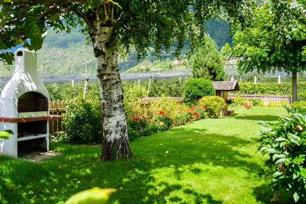 Photo of the garden Tirolo / Dorf Tirol