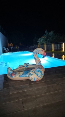 Photo of the outdoor swimming pool