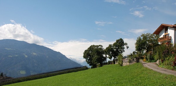 Lage Ferienwohnungen Haus Waldfrieden Dorf Tirol
