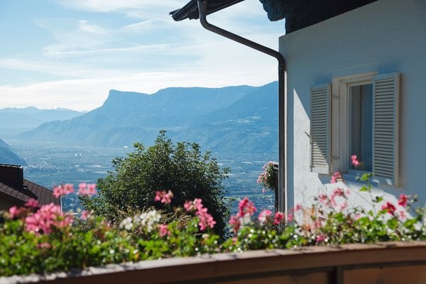 Foto vom Balkon Ehrenfried