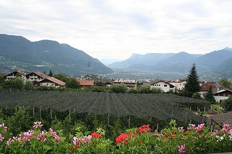 Bildergalerie