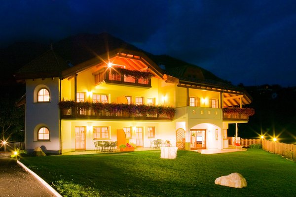 Foto Außenansicht im Sommer Tischlerhof