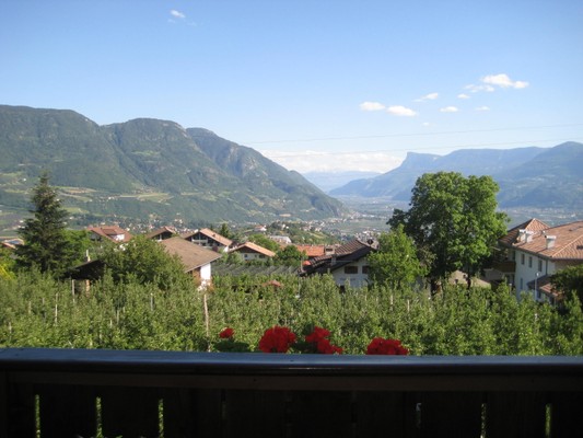 Foto der Terrasse