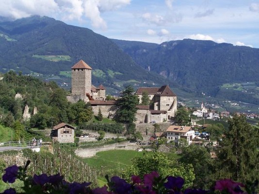 Bildergalerie