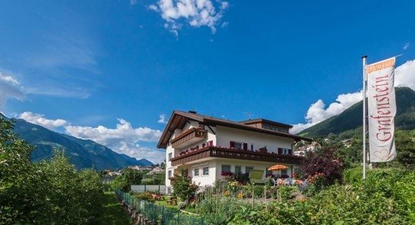 Foto esterno Pensione Grafenstein