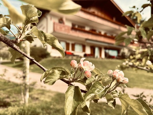 Foto Außenansicht Residence Neuhäuslhof