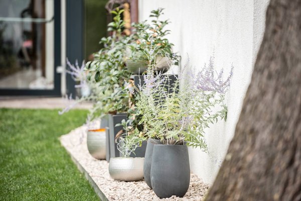 Foto del giardino Merano