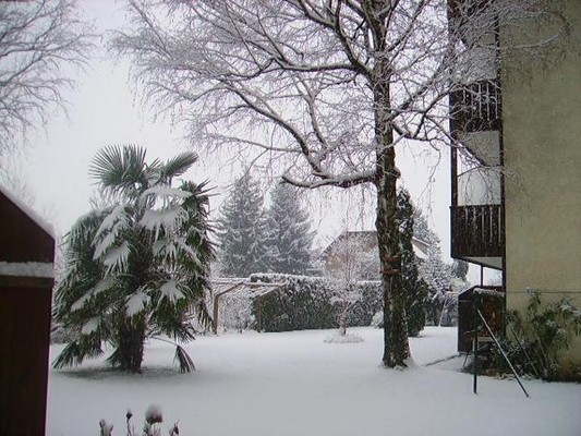 Photo exteriors Residence Bichler