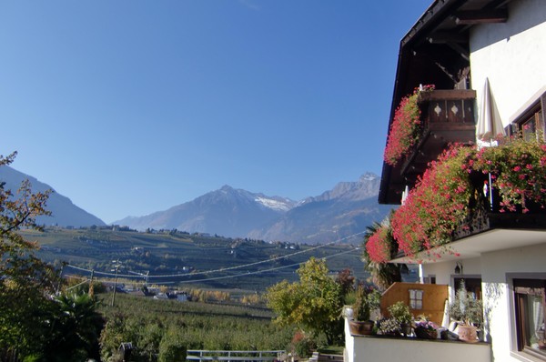 Foto esterno B&B + Appartamenti in agriturismo Bäcksteinerhof