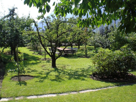 Photo of the garden Merano / Meran