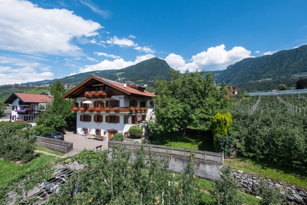 Bild Ferienwohnungen Haus Alber