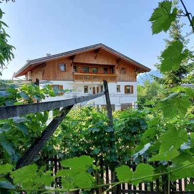 Foto esterno Appartamenti in agriturismo Oberschöberlehof