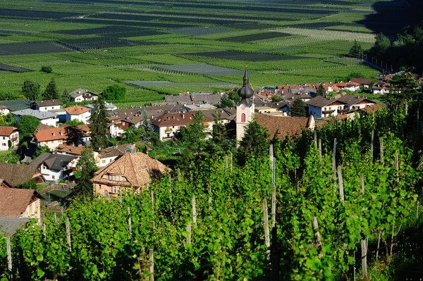 Bildergalerie