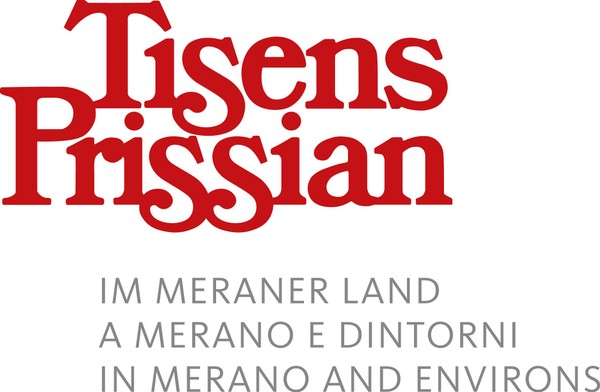 Logo Tisens - Prissian