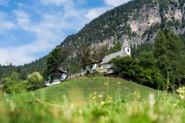 Bildergalerie