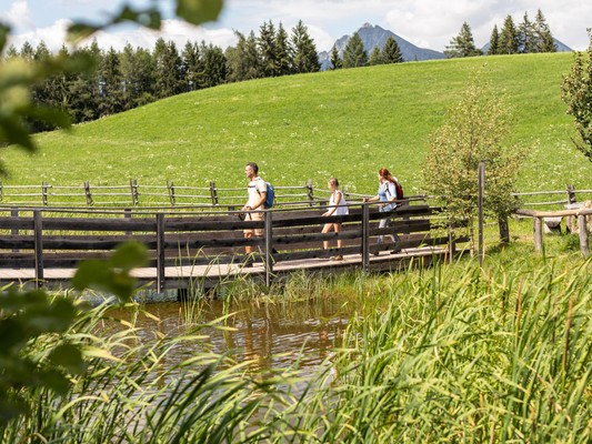 Attività estate Merano e dintorni