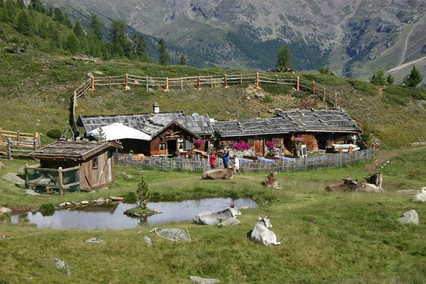 Position Alpine farm Bergl Maso Corto / Kurzras (Val Senales / Schnalstal)