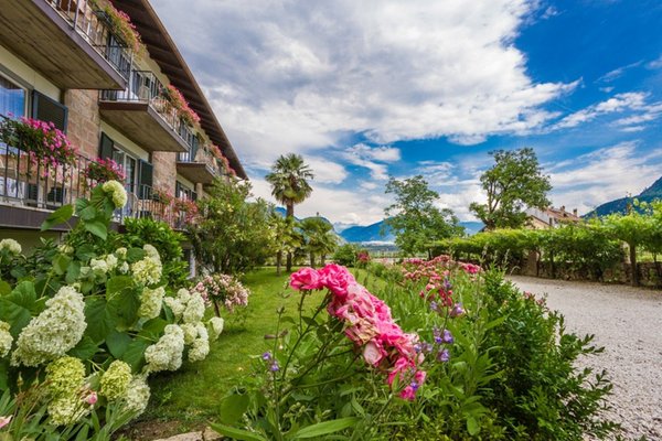 Photo of the garden Andriano / Andrian (Strada del vino north / Weinstraße north)
