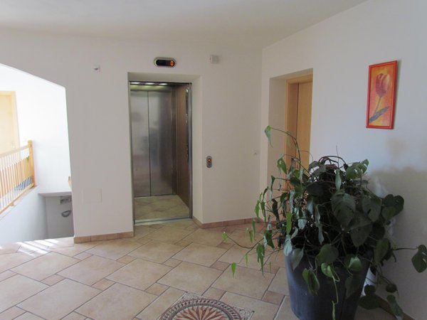 B&B + Appartamenti Trübenbach Strada del Vino Nord