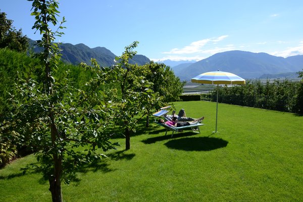 Photo of the garden Andriano / Andrian (Strada del vino north / Weinstraße north)