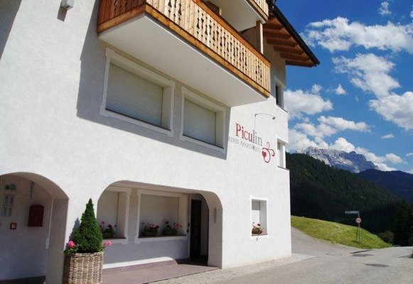 Foto esterno Alpin Apartments Piculin
