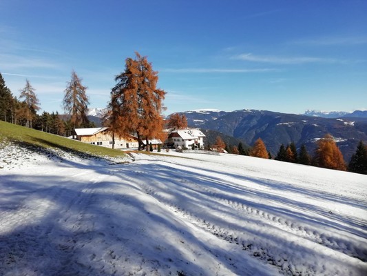 Foto esterno Appartamenti in agriturismo Stücklhof