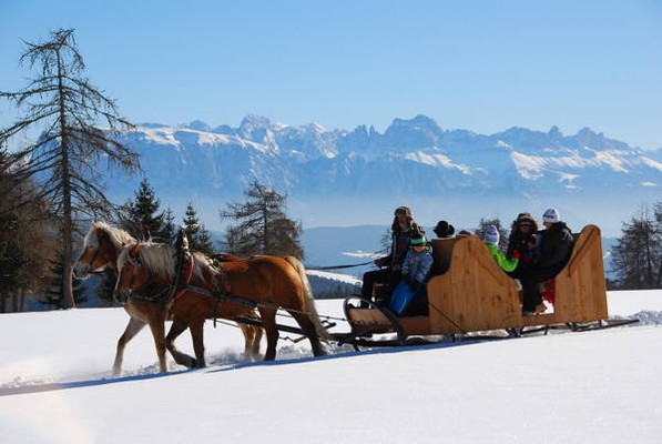 Aktivitäten Bozen und Umgebung