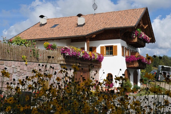 Foto esterno Pensione + Appartamenti in agriturismo Wieserhof