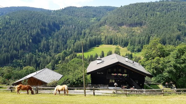 Photo exteriors in summer Burgerhof