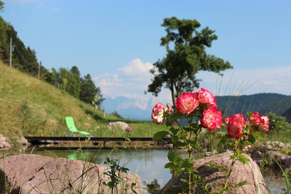 Photo gallery summer