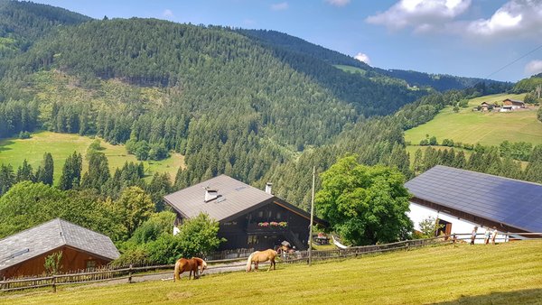 Position Farmhouse apartments Burgerhof San Genesio / Jenesien